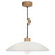 Spot Light Pendelleuchte Jona 1xE27