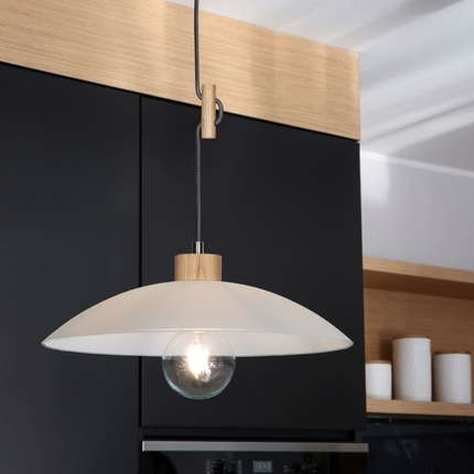 Spot Light Pendelleuchte Jona 1xE27