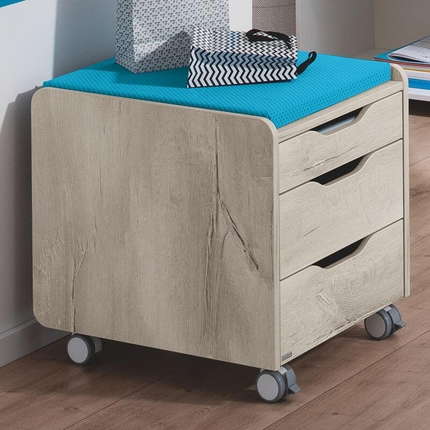 PAIDI Rollcontainer 3S