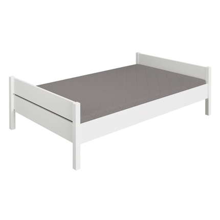 PAIDI Bett Tiago