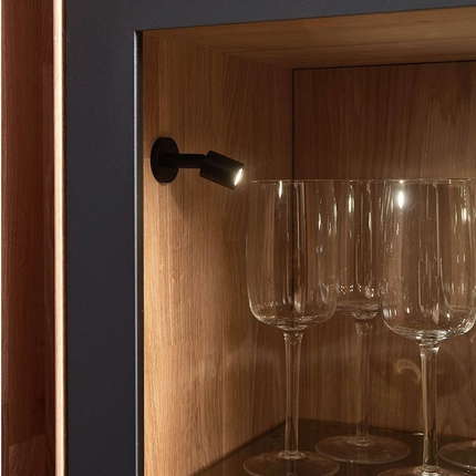 Wöstmann Zeilenschrank 6613/6614 WM 1910