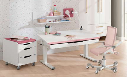 ▷ PAIDI Teenio Schreibtische zum Top-Preis