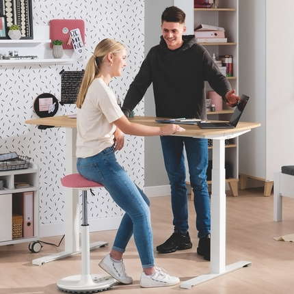 PAIDI Schreibtisch e-lion elektrisch höhenverstellbar